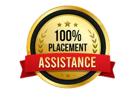100% job assistance digital marketing program